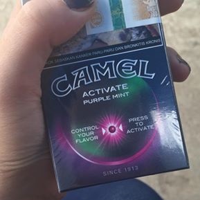camel active purple mint blueberry cigarettes