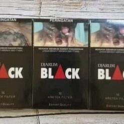 djarum black clove cigarettes carton