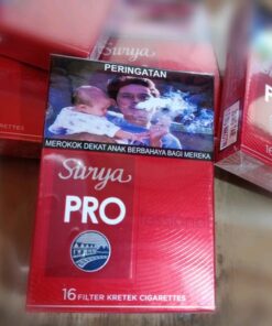 gudanggaram surya pro clove cigarettes image