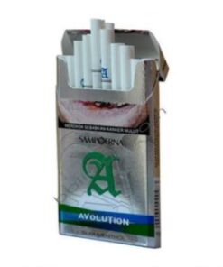 sampoerna avolution menthol clove cigarettes